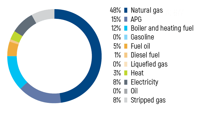 ENERGY CONSUMPTION IN 2019 BY RESOURCE TYPE, %